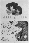 486-7