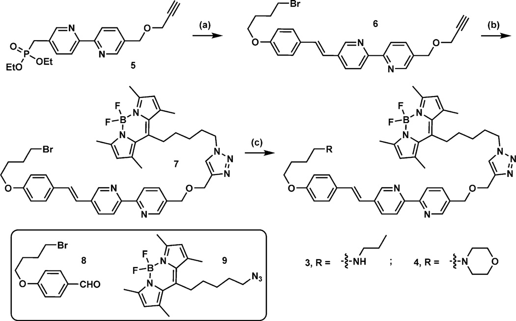 Scheme 1