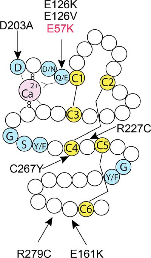 FIGURE 12.