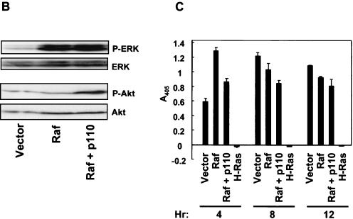 FIG. 9