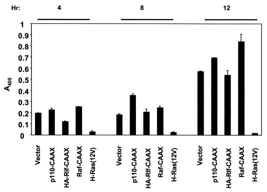 FIG. 6