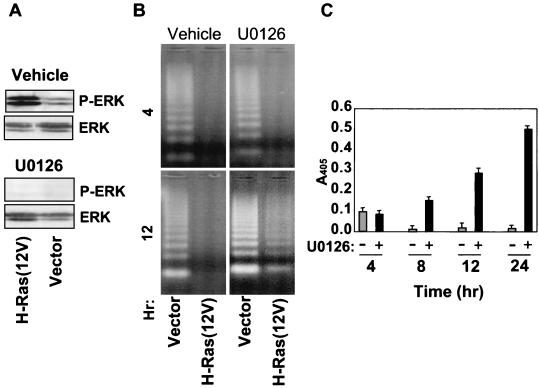 FIG. 7