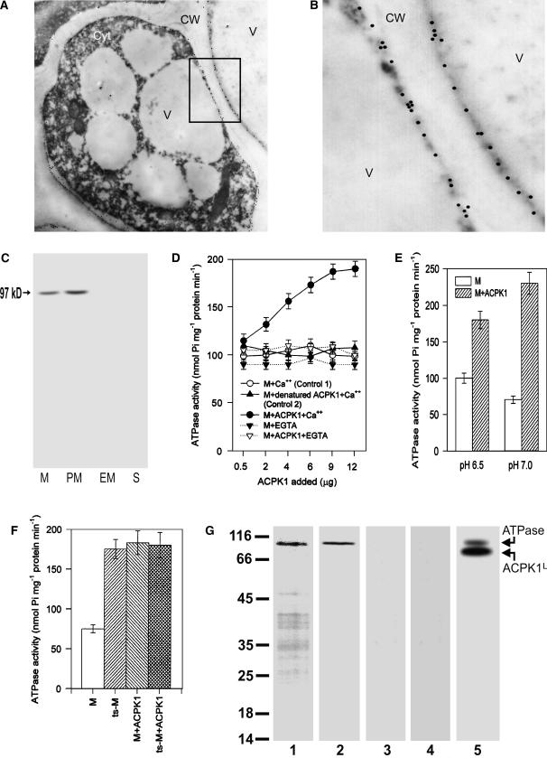 Figure 10.