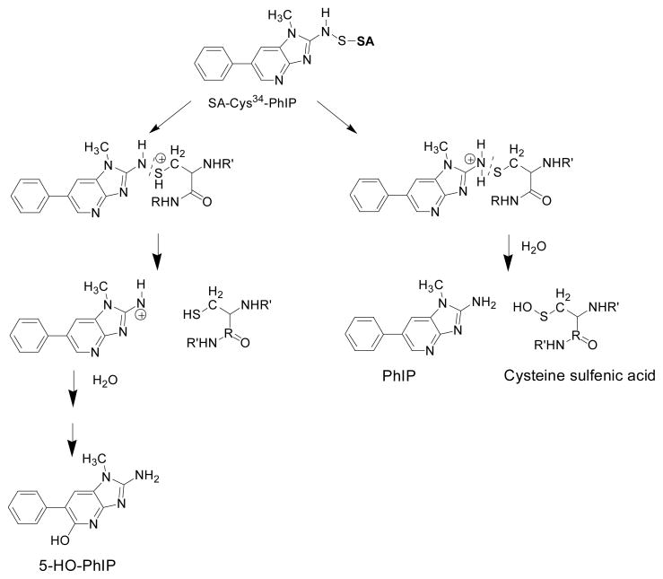 Scheme 2