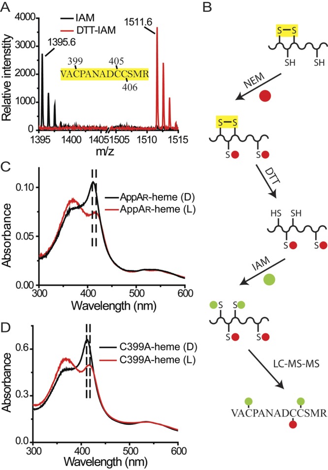 FIG 4 