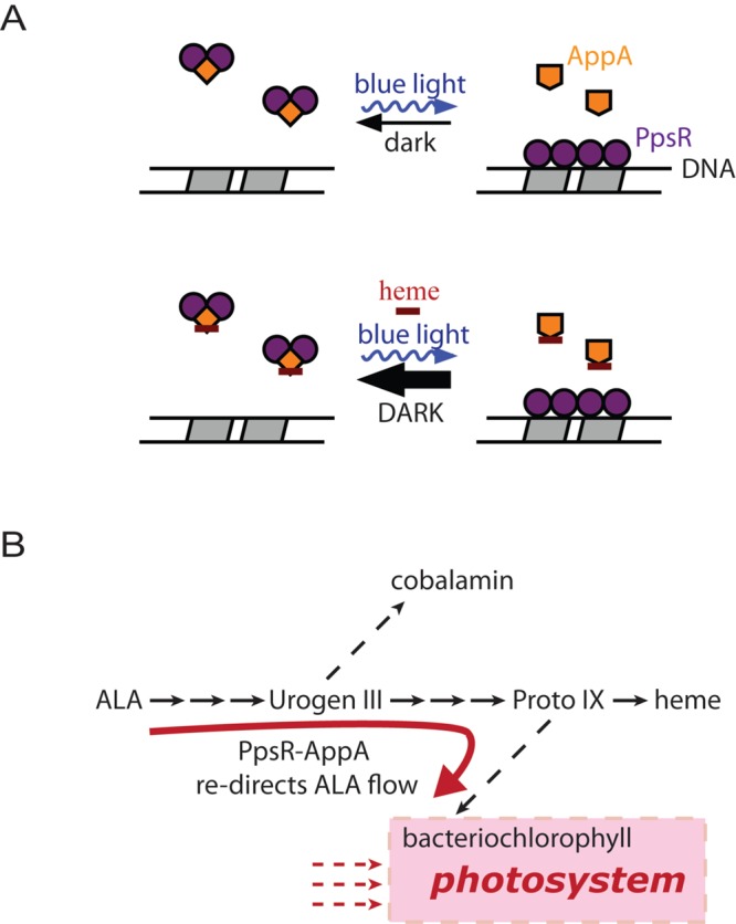 FIG 6 