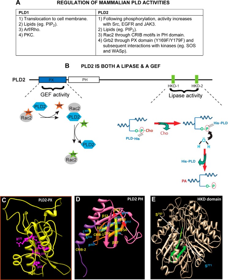 FIGURE 2.