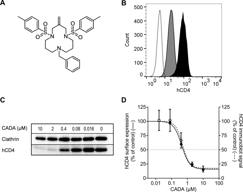 Fig. 1.