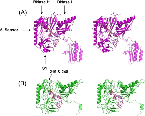 FIGURE 4.