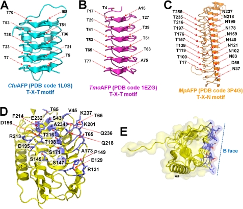 FIGURE 5.