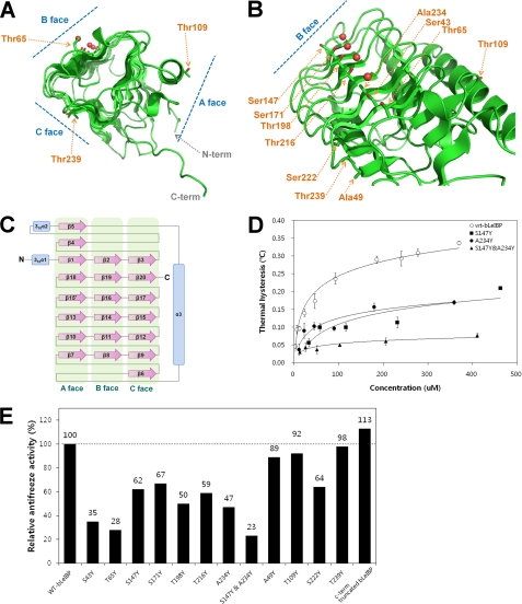 FIGURE 4.