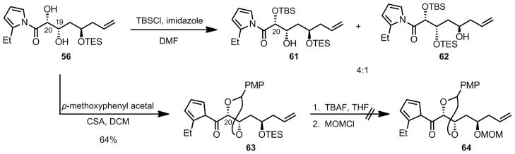 Scheme 13