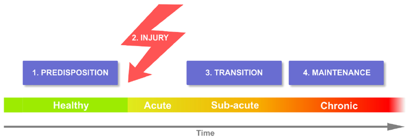 Figure 1: