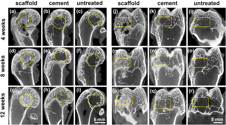 Fig. 14