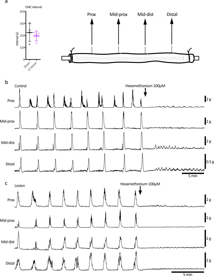 Fig. 10