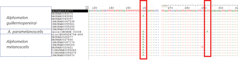 Figure 105.