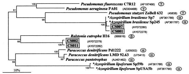 FIG. 4.