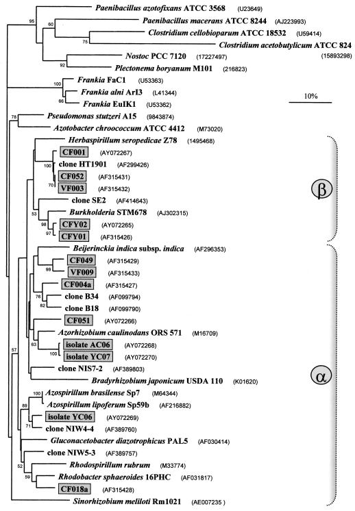 FIG. 6.