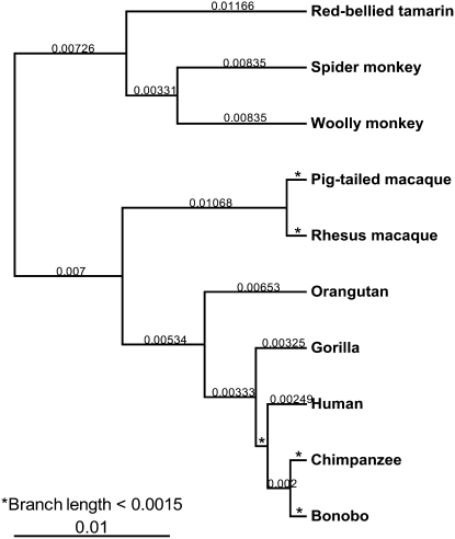 Figure 1.—