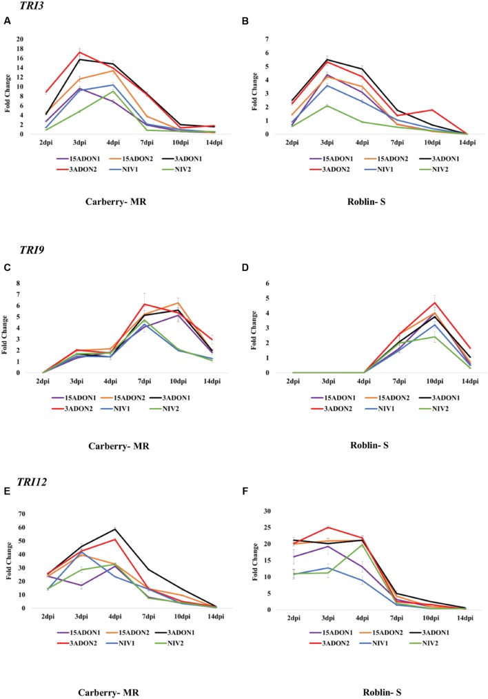 FIGURE 3