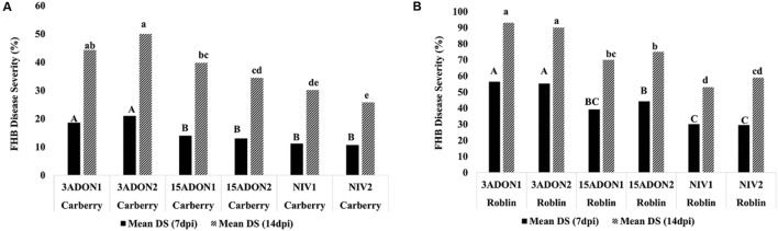 FIGURE 4