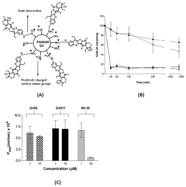 Figure 12