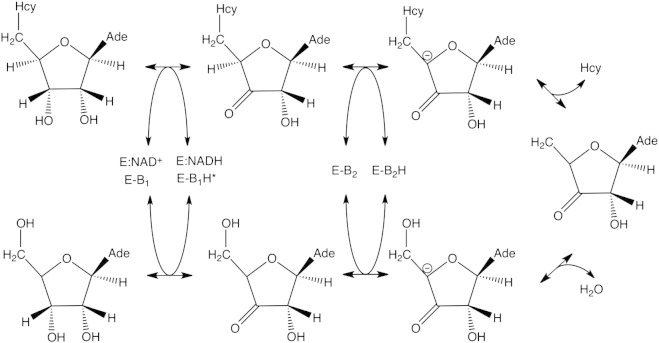 Fig. 3