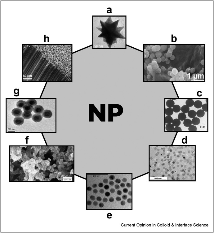 Figure 1