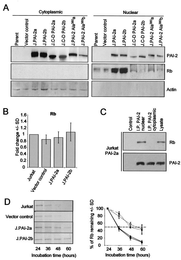 FIG.5.