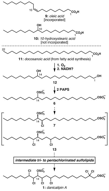 Scheme 1