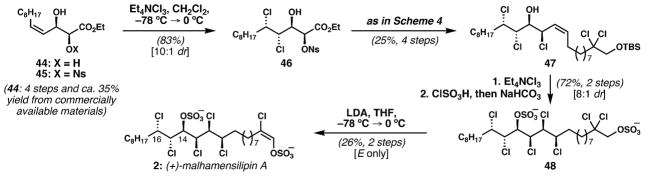 Scheme 5