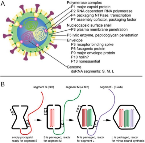 Figure 6.