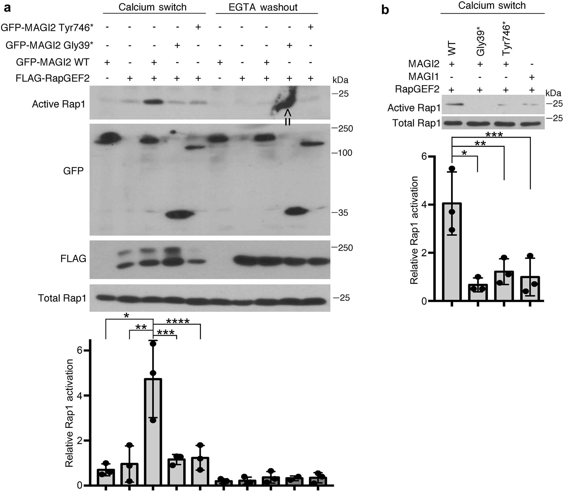 Figure 2 |