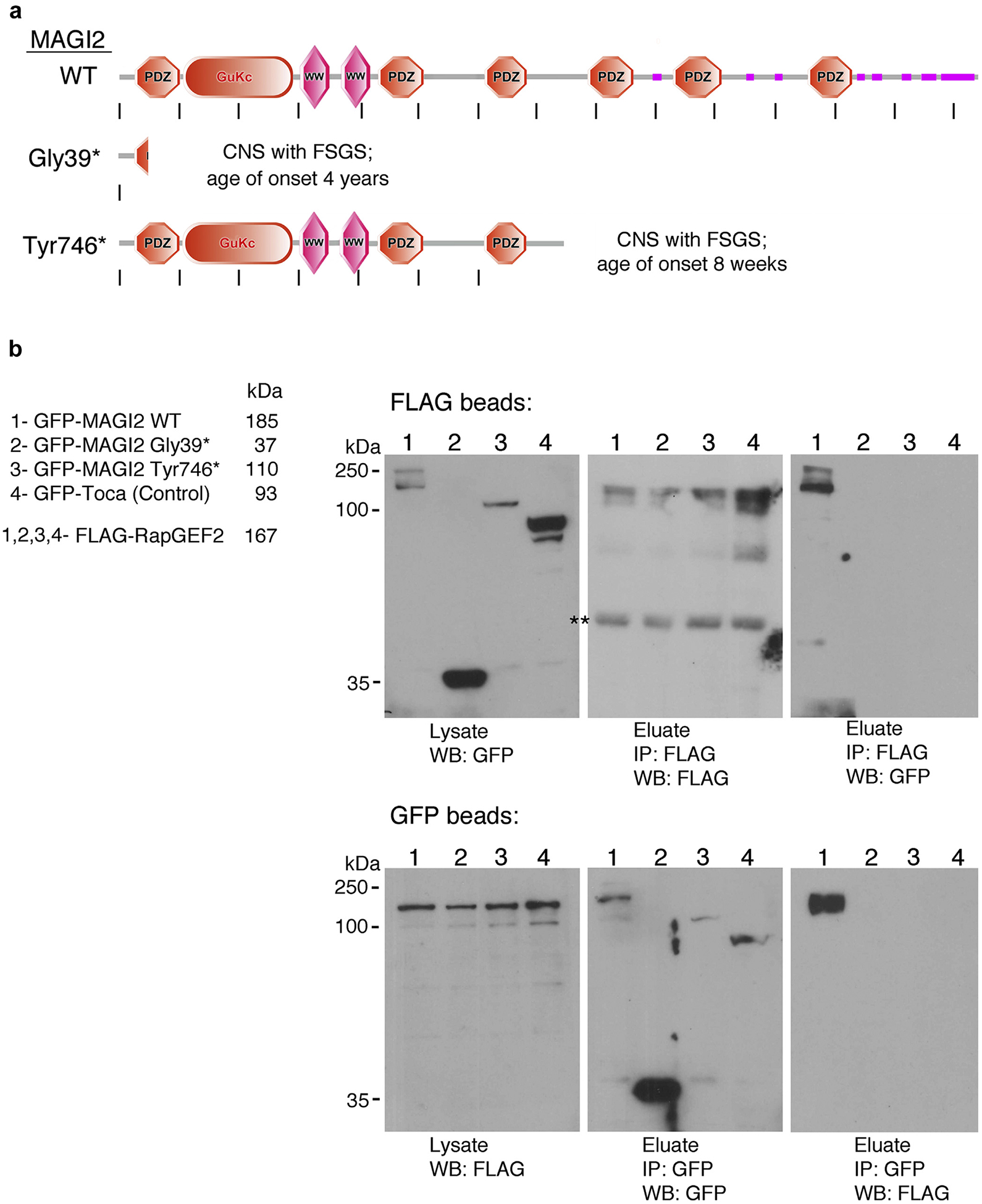 Figure 1 |