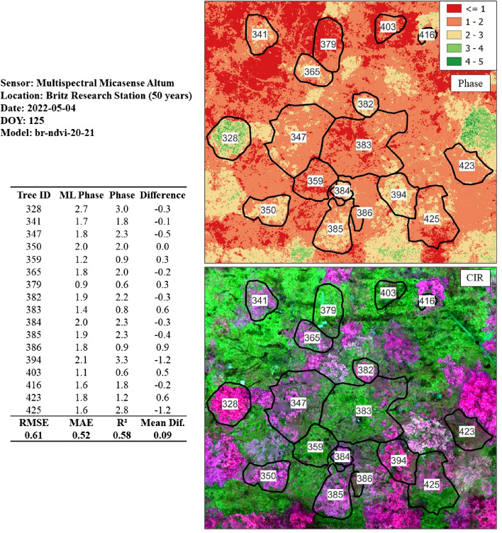 Figure 19