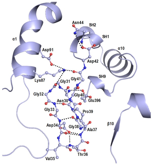 Figure 9