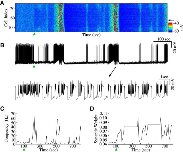 Figure 6.