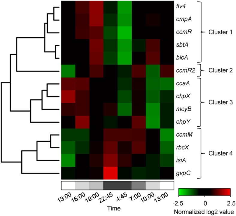 FIGURE 4