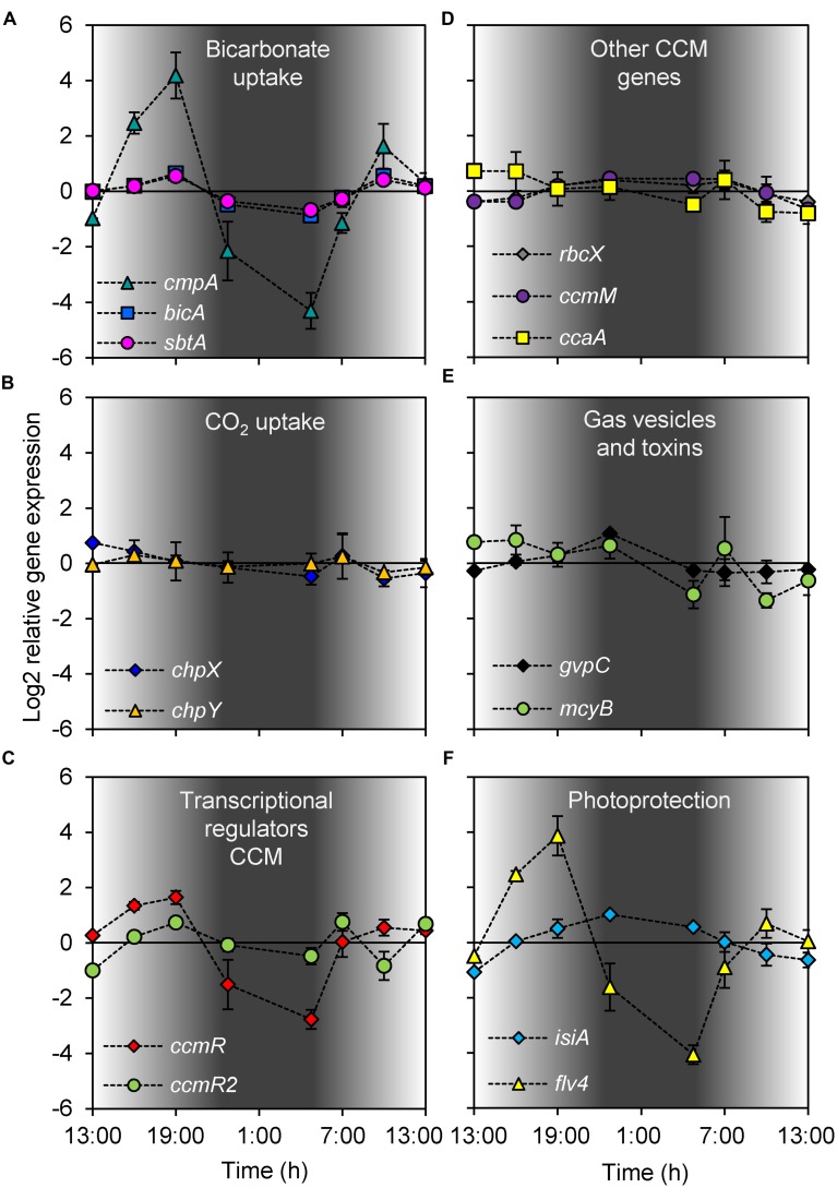 FIGURE 3