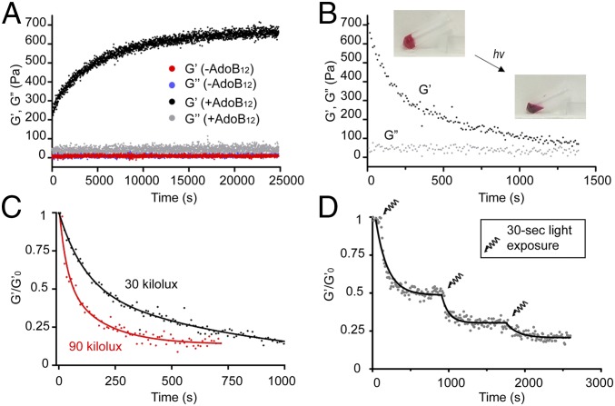 Fig. 2.