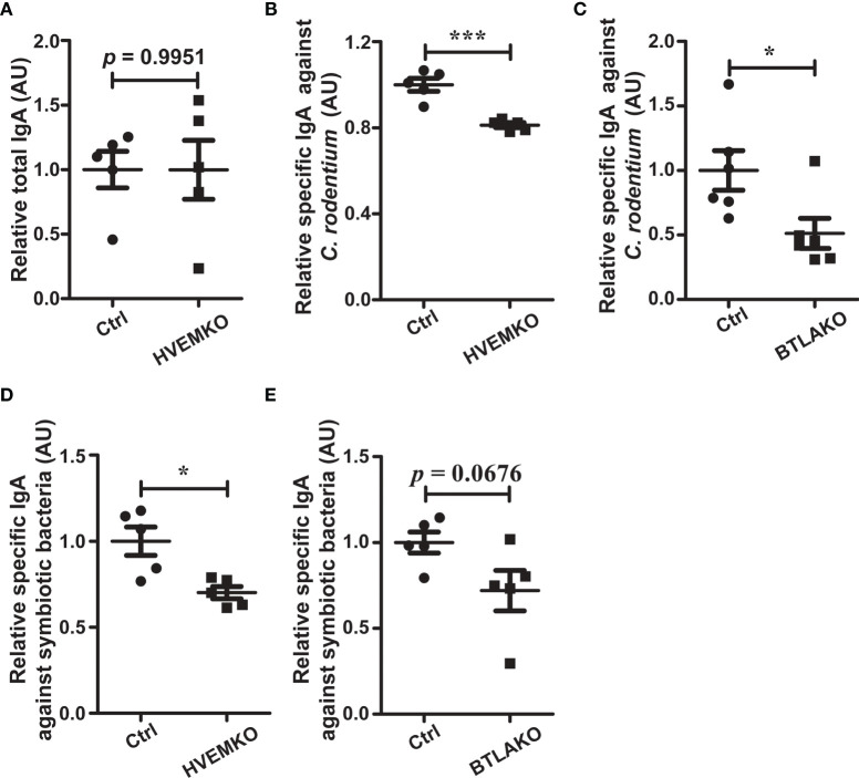 Figure 6