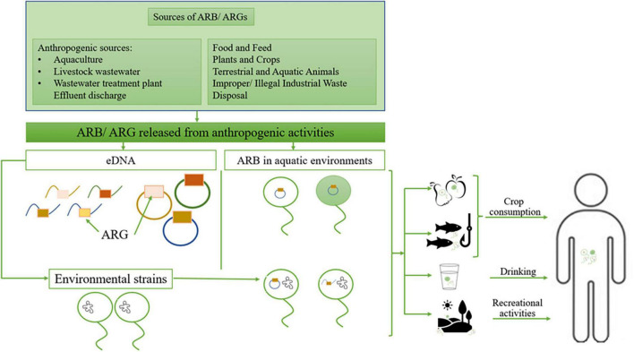 FIGURE 1