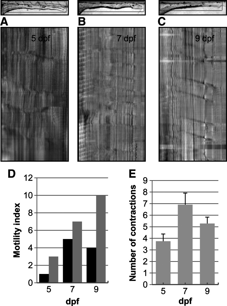 FIG. 5.