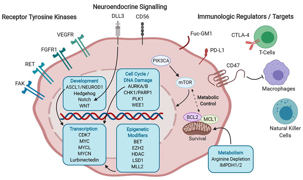 Figure 1: