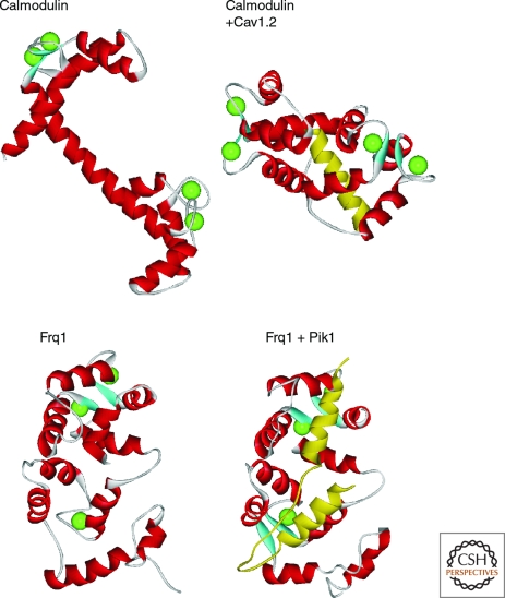 Figure 2.