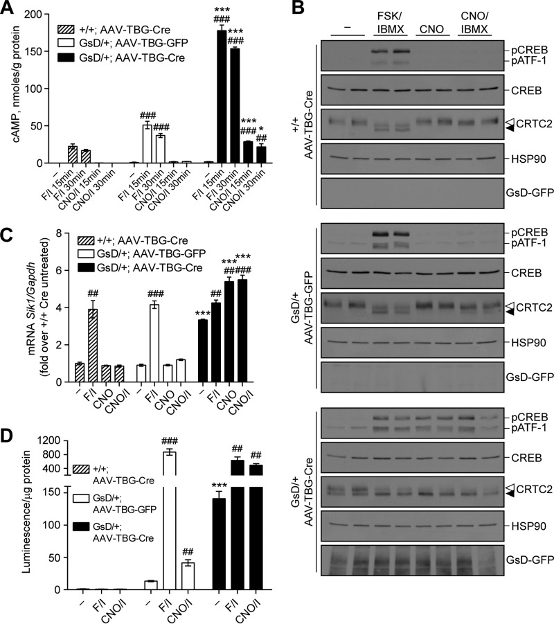 FIG 3