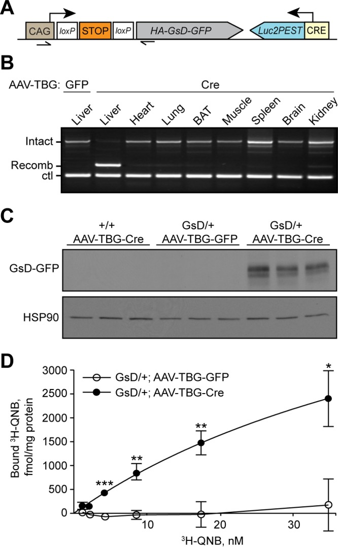 FIG 1