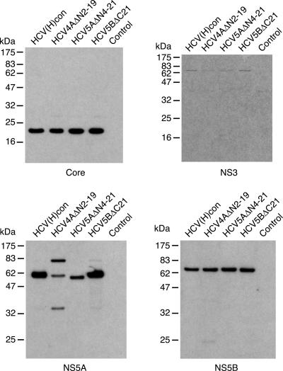 FIG. 3.