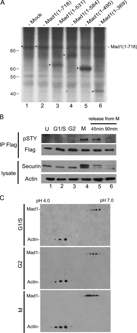 FIGURE 1.