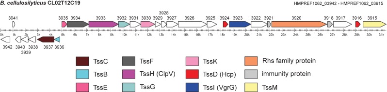 FIG 4 